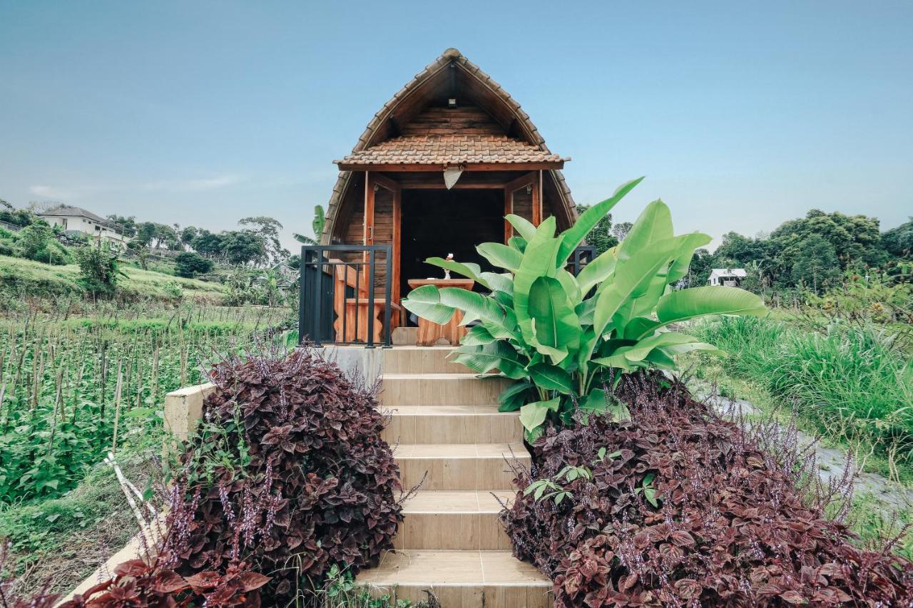 Tunjung Sari Villa Bedugul Bedugul  Exteriér fotografie