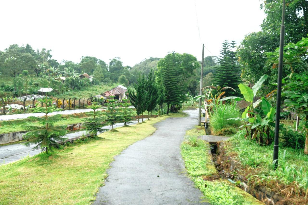Tunjung Sari Villa Bedugul Bedugul  Exteriér fotografie
