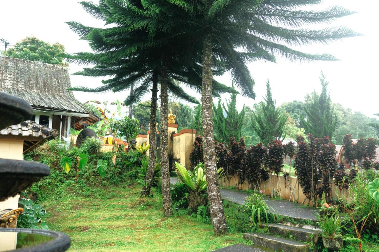 Tunjung Sari Villa Bedugul Bedugul  Exteriér fotografie